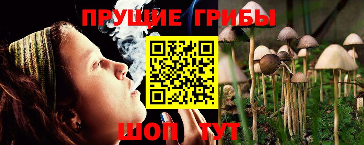 Галлюциногенные грибы Psilocybine cubensis  Вход с VPN  Галлюциногенные грибы ЛСД  Кунгур 